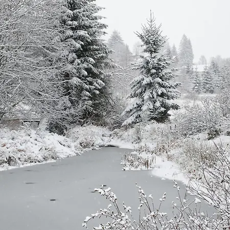 Roulotte Du Pere Noel בית נופש Ban-sur-Meurthe-Clefcy