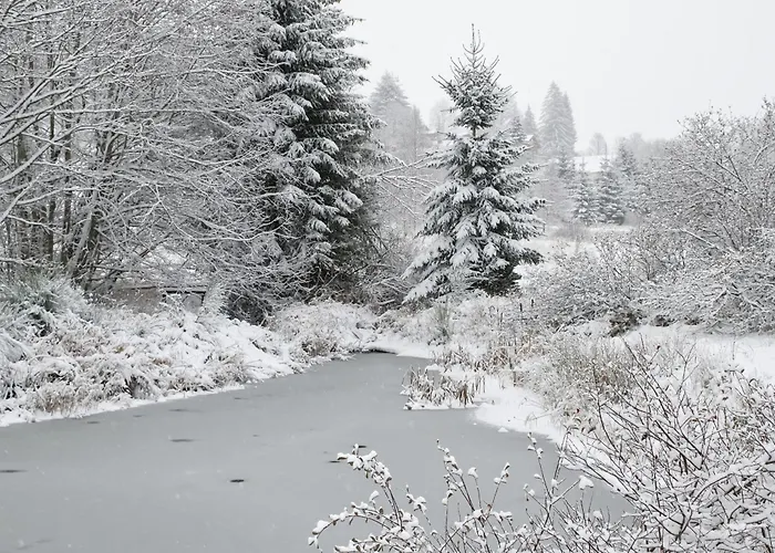 Roulotte Du Pere Noel Prázdninový dům Ban-sur-Meurthe-Clefcy